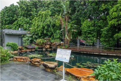 植物醫(yī)生透明工廠 智能制造引領(lǐng)國妝自主生產(chǎn)新潮流，生態(tài)環(huán)境材料銷售成亮點(diǎn)